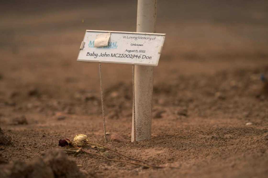 The journey through Central America is a difficult and dangerous one, and many - including this unidentifed baby - do not make it The journey through Central America is a difficult and dangerous one, and many - including this unidentifed baby - do not make it