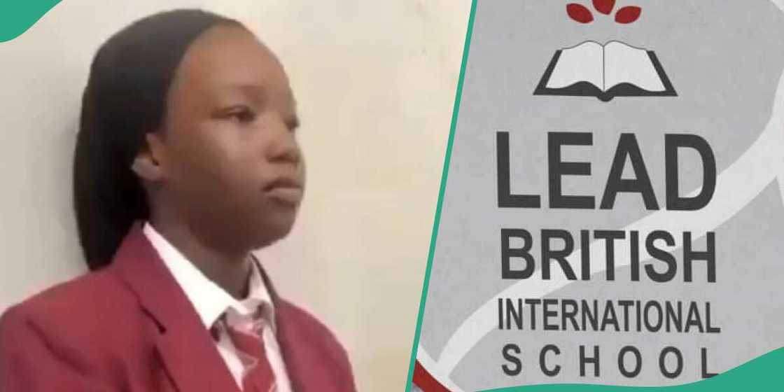 Lead British International School