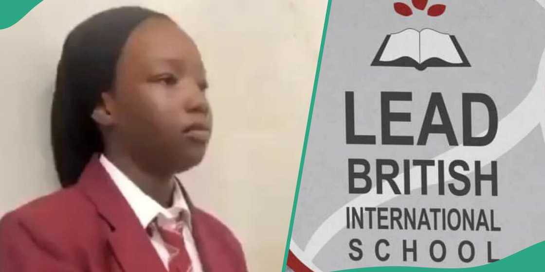 Lead British International School Lead British International School