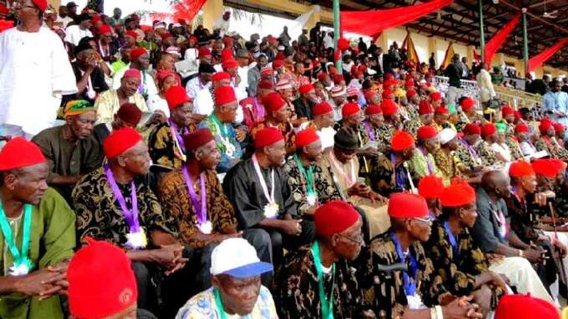 Igbo Candidate for President Igbo Candidate for President