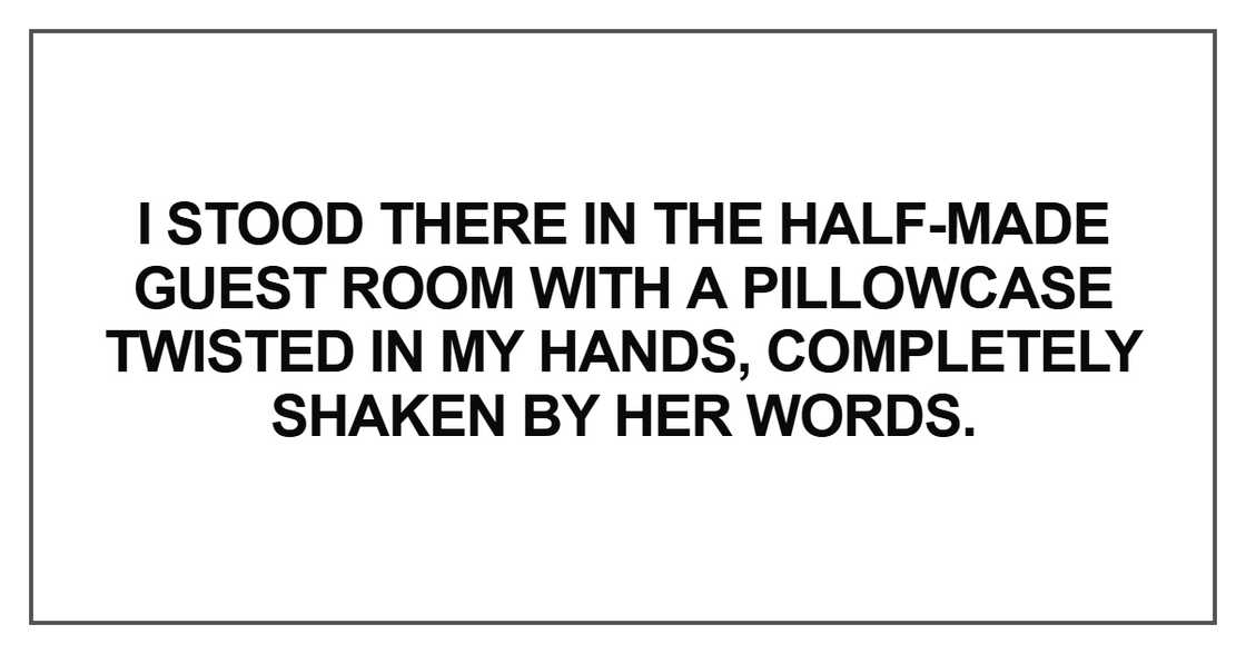 I stood there in the half-made guest room with a pillowcase