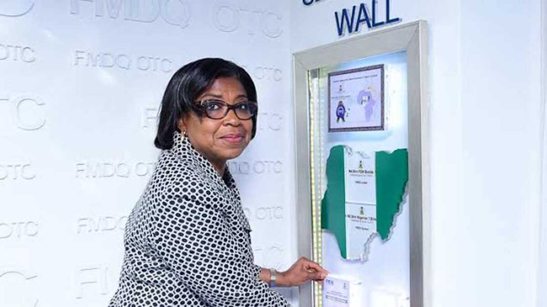 Tinubu government investements Tinubu government investements