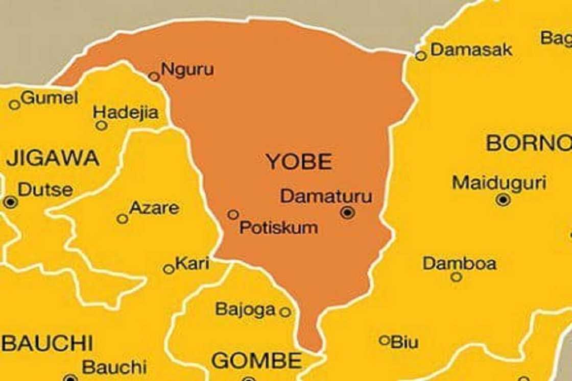 APC ta lashe kujerar sanata a Yobe APC ta lashe kujerar sanata a Yobe
