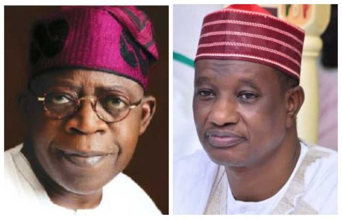 Babban abin da ya sa aka shirya Maulidin Tinubu a jihar Kano – Jigon Kwankwasiyya Babban abin da ya sa aka shirya Maulidin Tinubu a jihar Kano – Jigon Kwankwasiyya