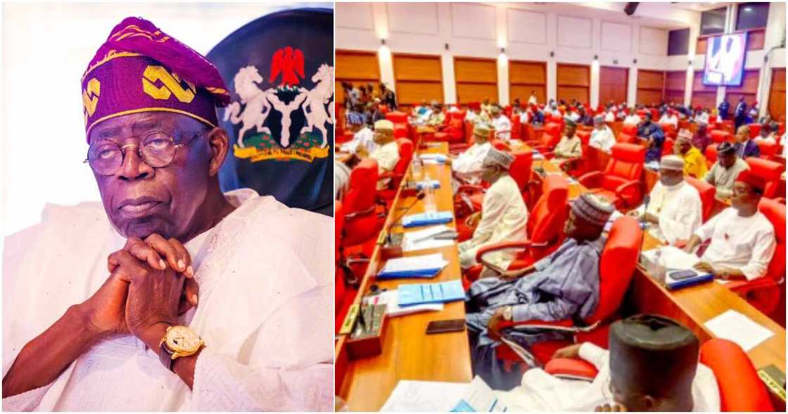 Asiwaju Bola Ahmed Tinubu, Senate, ministerial nominees