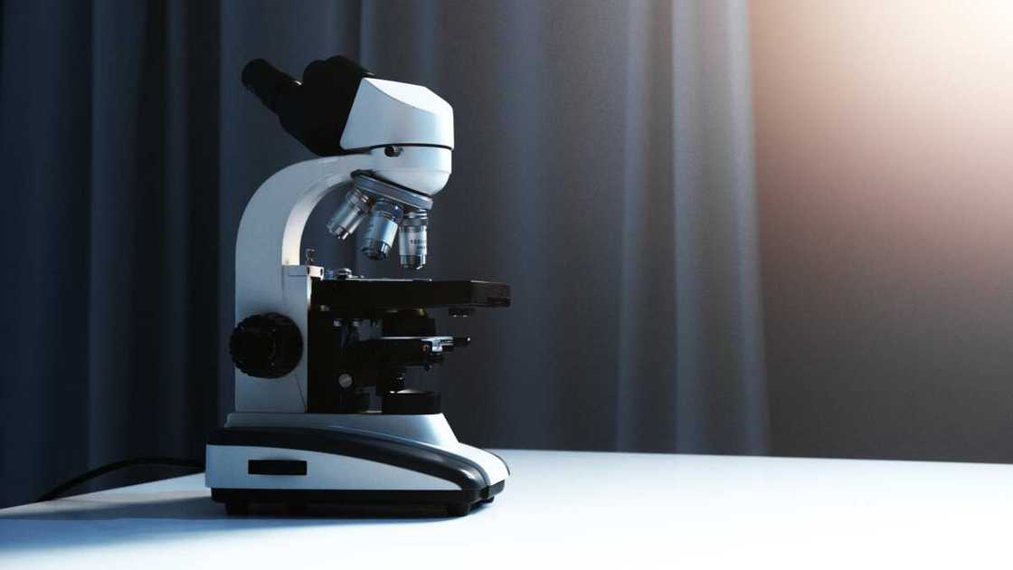 laboratory equipment and their uses laboratory equipment and their uses