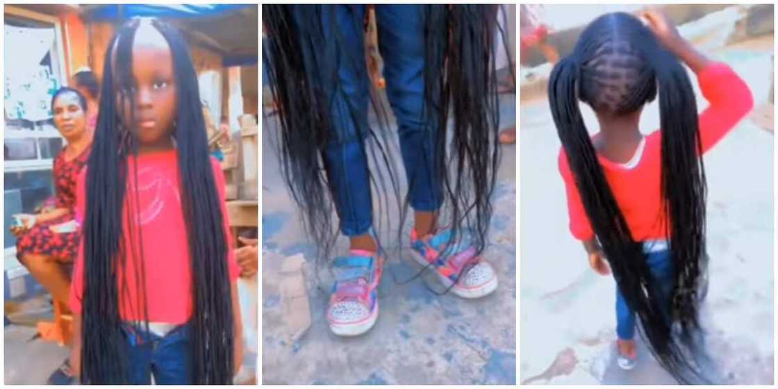 Little girl/braided hairstyle Little girl/braided hairstyle