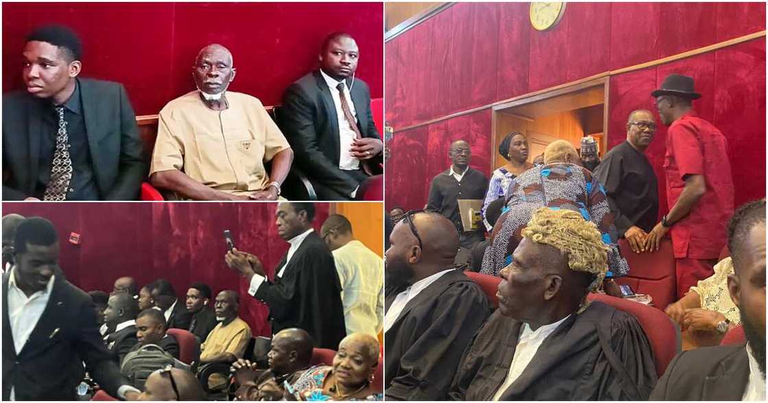 Peter Obi, Lamidi Apapa, election tribunal Peter Obi, Lamidi Apapa, election tribunal