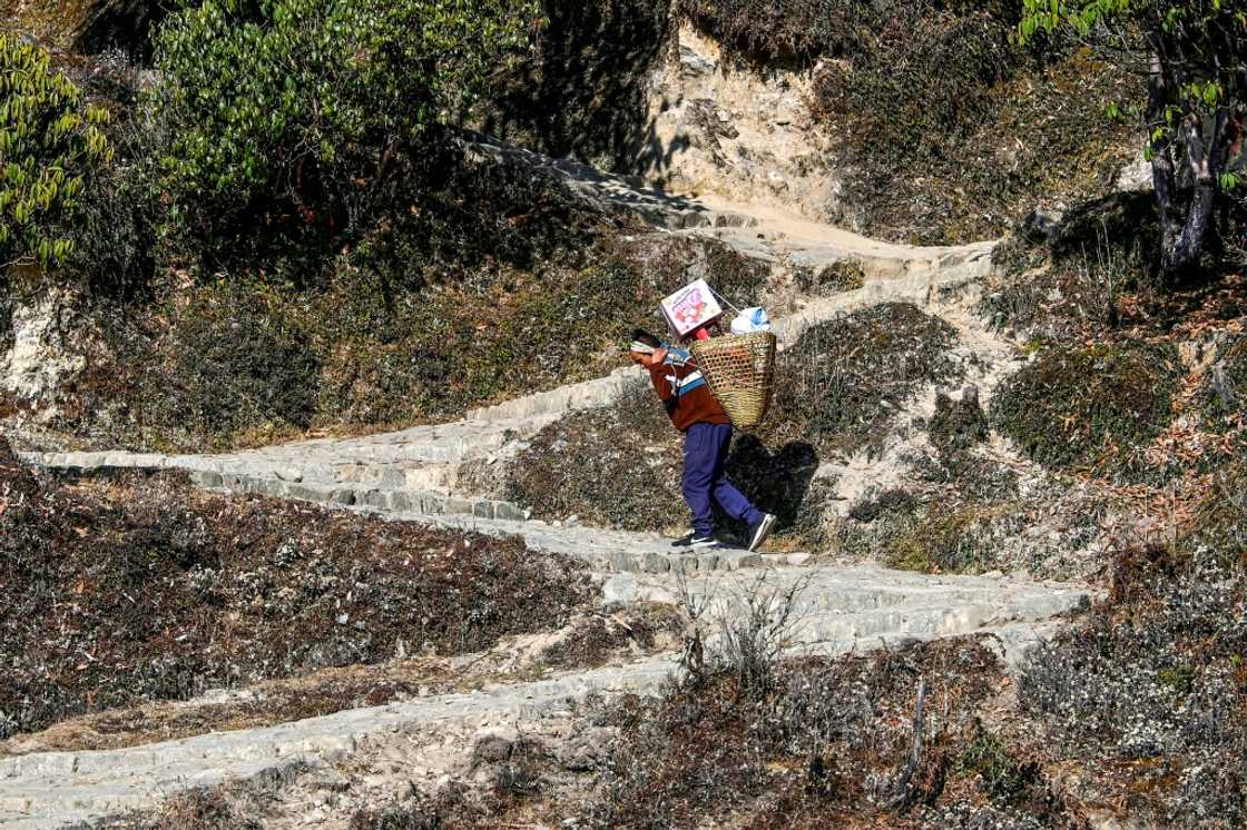 A porter carries supplies along a path leading to the Pathibhara Devi temple