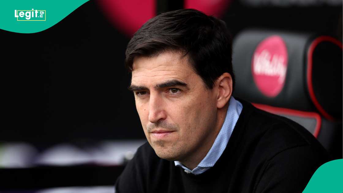 Andoni Iraola, AFC Bournemouth, Newcastle United, Vitality Stadium, England, Premier League.