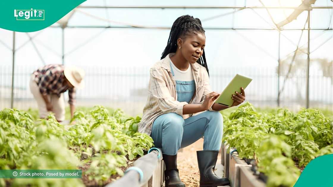 FCMB partners with Heave Ventures for agribusiness innovation programme FCMB partners with Heave Ventures for agribusiness innovation programme