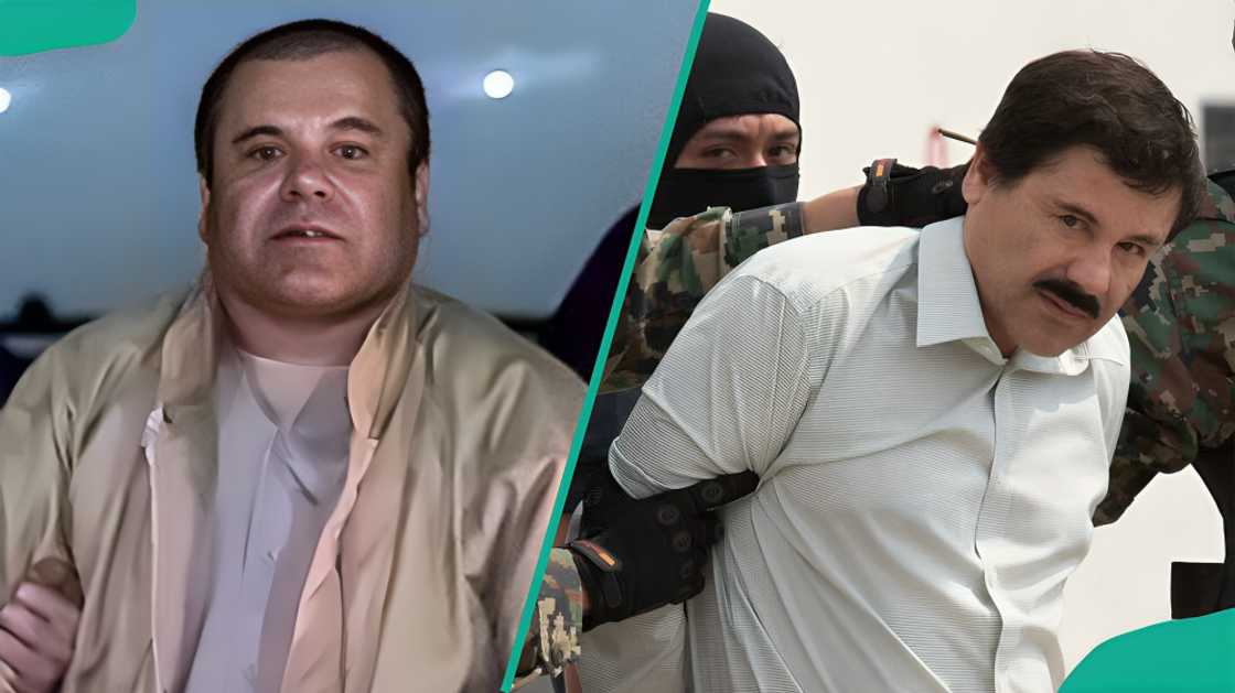 Joaquin "El Chapo" Guzman being arrested. Joaquin "El Chapo" Guzman being arrested.