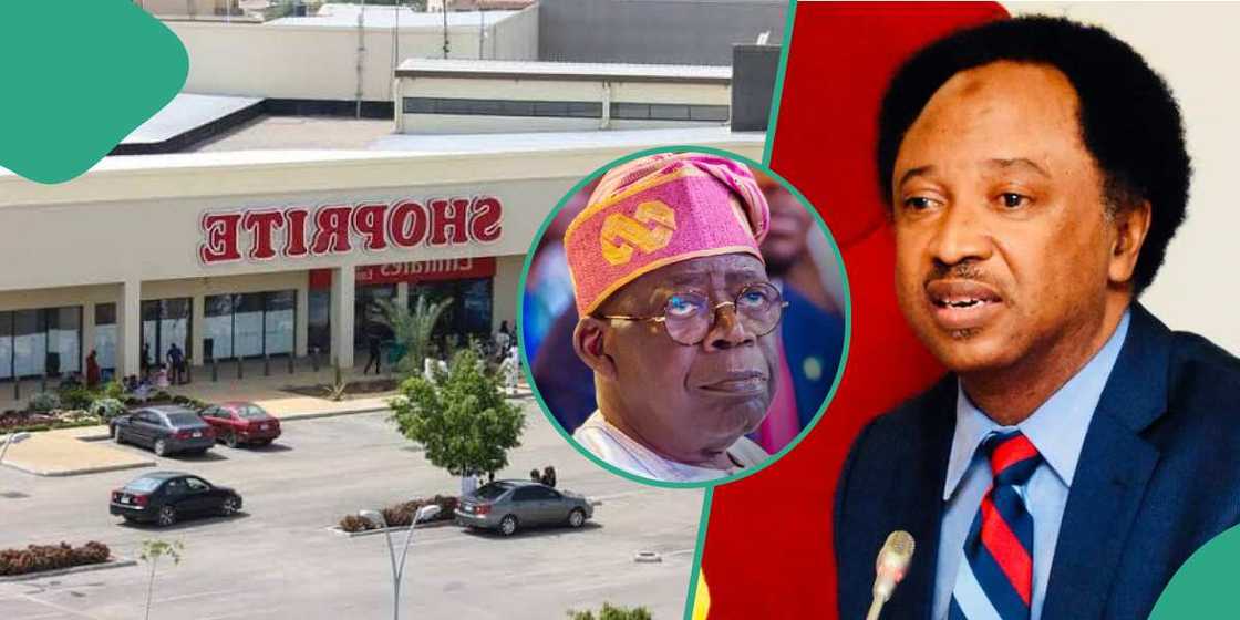 Tinubu, Shehu Sani, Shoprite, Kano state Tinubu, Shehu Sani, Shoprite, Kano state