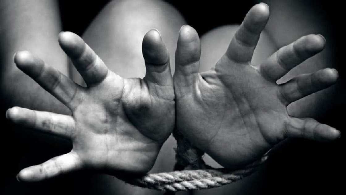 'Yan Bindiga Sun Sace Malaman Addinin Musulunci 2 Bayan Cika Cikinsu Da Teba Da Miya Da Matar Malamin Ta Dafa 'Yan Bindiga Sun Sace Malaman Addinin Musulunci 2 Bayan Cika Cikinsu Da Teba Da Miya Da Matar Malamin Ta Dafa