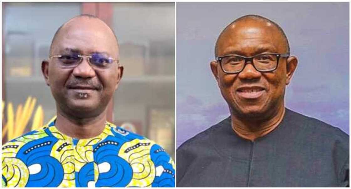 John Enenche, Peter Obi, 2023 election, Labour Party