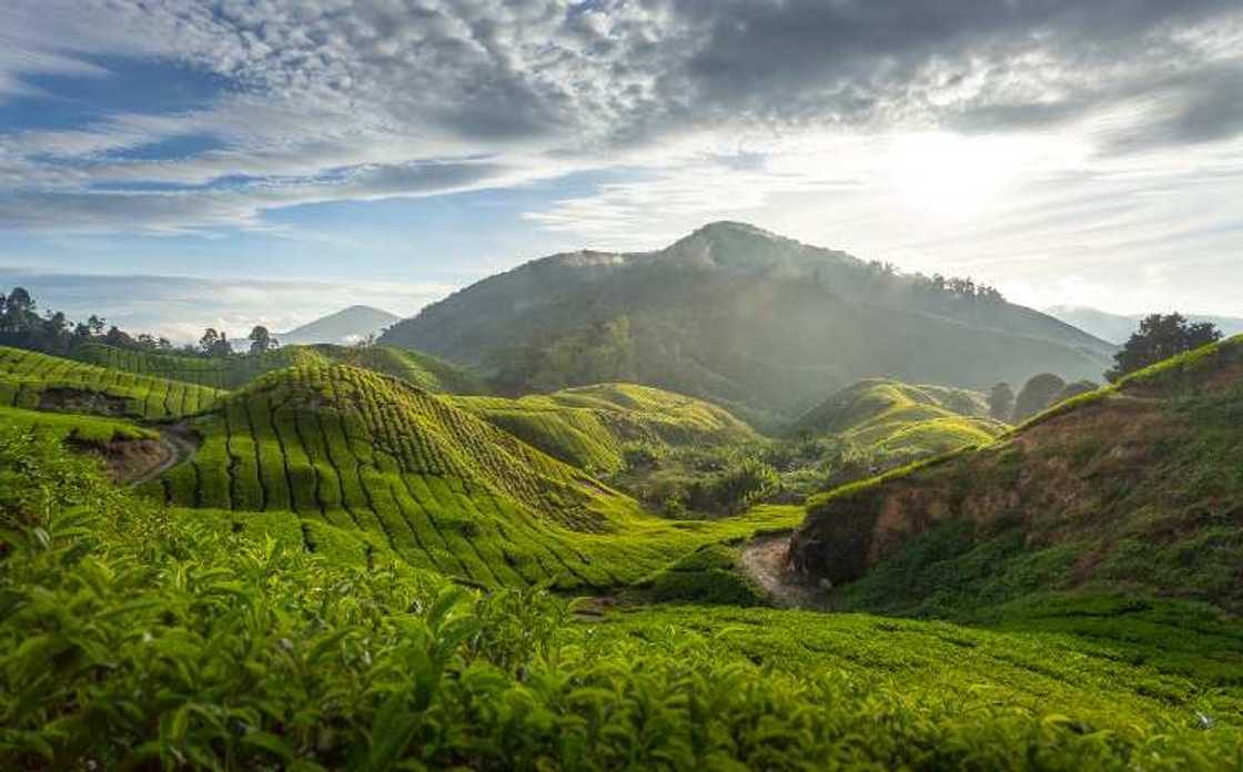 Importance of highlands Importance of highlands