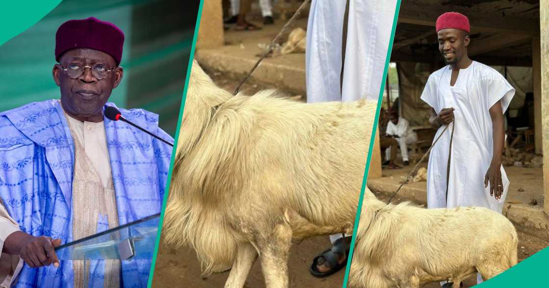 Bola Tinubu Bola Tinubu