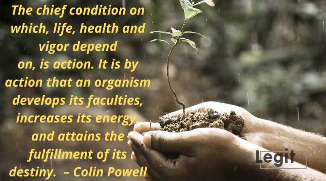 destiny quotes on life destiny quotes on life