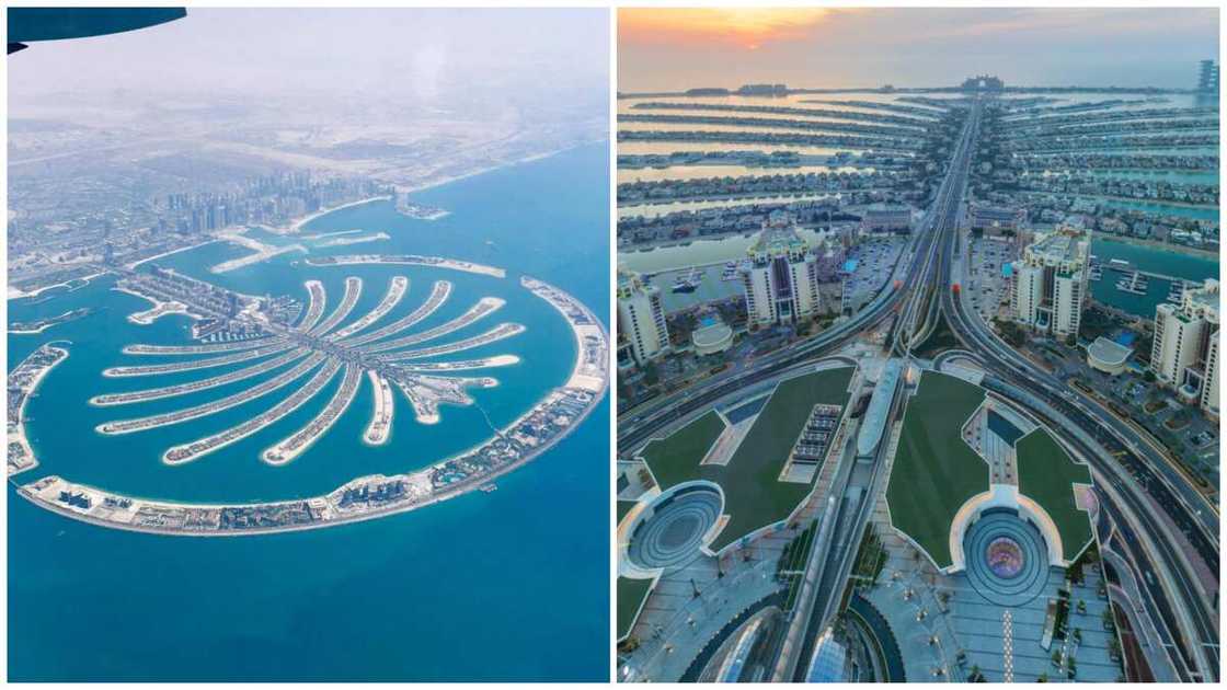 things that are large things that are large