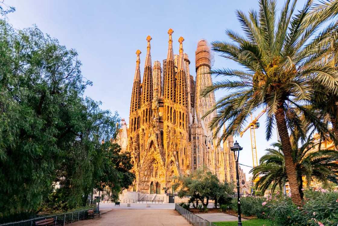 Sagrada Familia basilica surrounded by palm trees on a sunny morning, Barcelona, Spain.