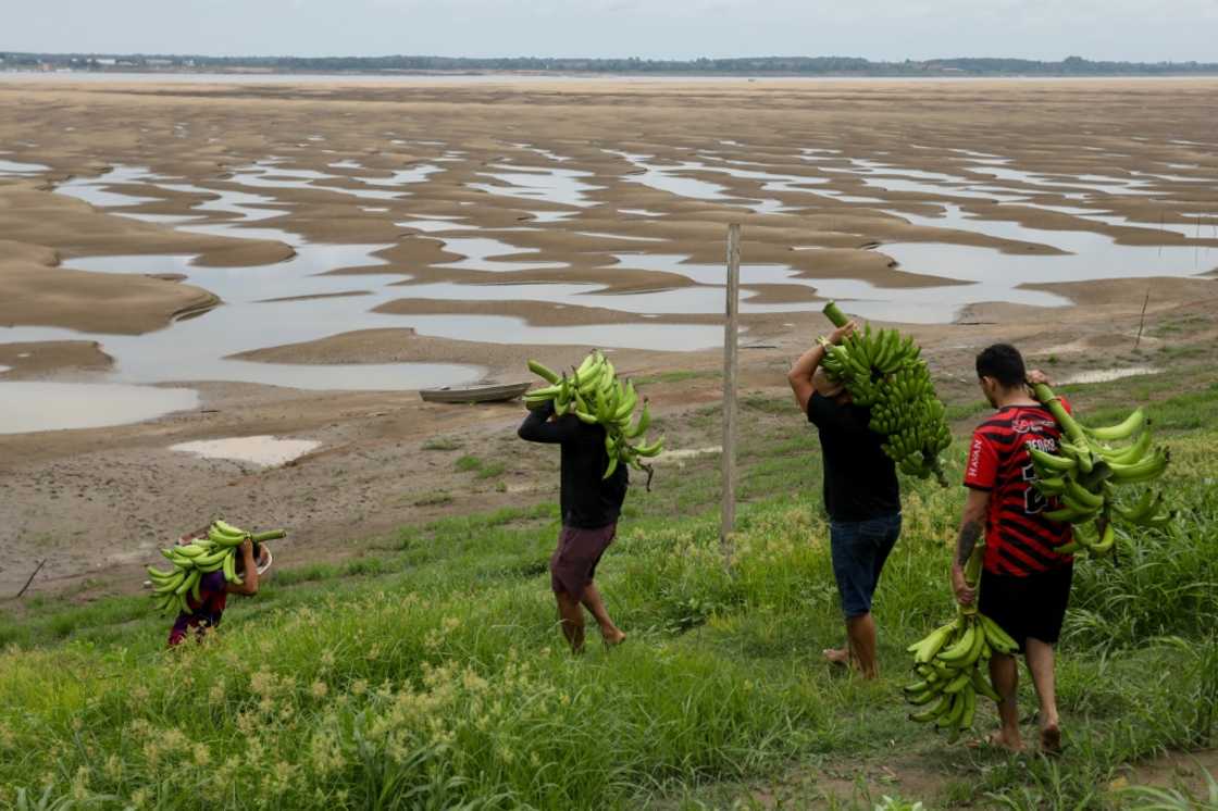 Researchers AFP spoke to said the effects of heat on economies of countries near the tropics is magnified, like the riverbank dwellers carrying banana produce in northern Brazil Researchers AFP spoke to said the effects of heat on economies of countries near the tropics is magnified, like the riverbank dwellers carrying banana produce in northern Brazil
