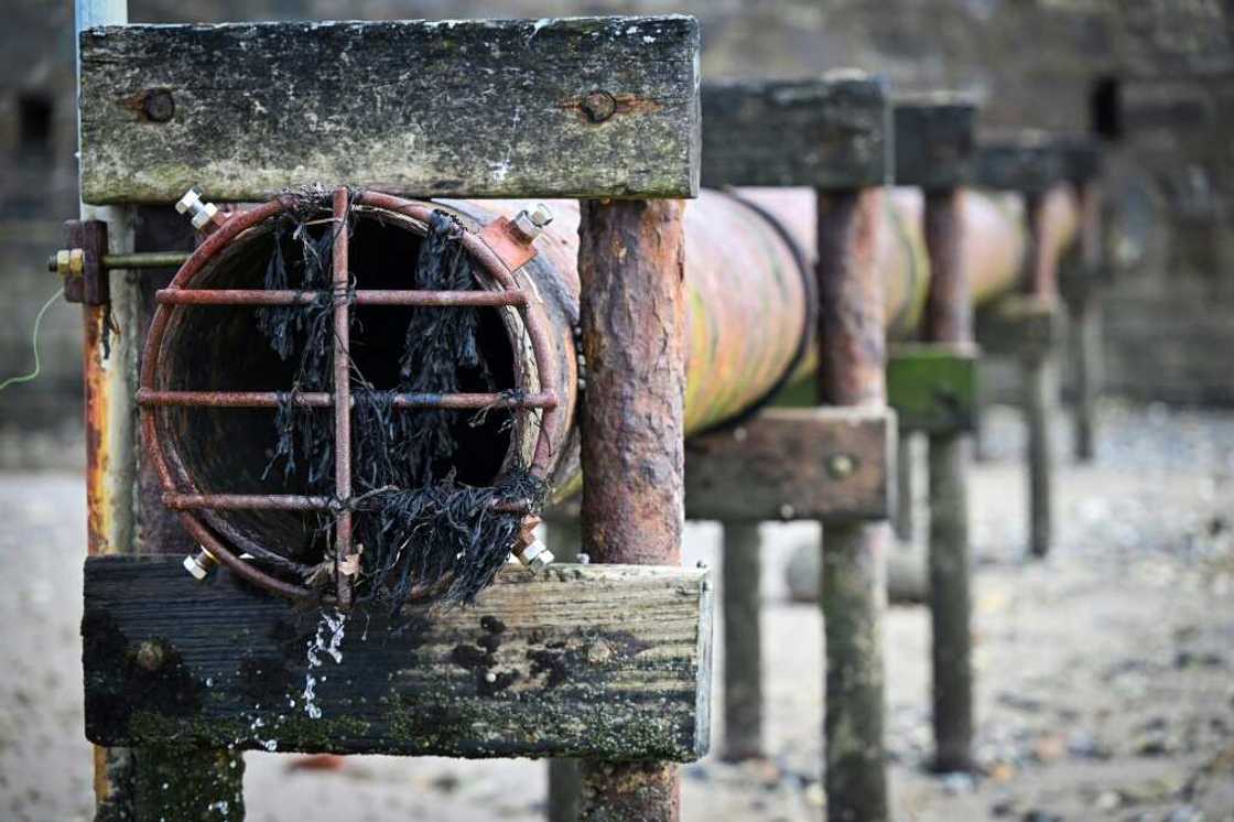 England's water companies have been criticised for allowing the discharge of raw sewage into waterways England's water companies have been criticised for allowing the discharge of raw sewage into waterways