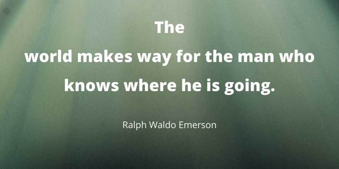 Warrior quote Warrior quote