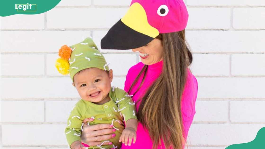 Lawn Flamingo and Cactus costume Lawn Flamingo and Cactus costume