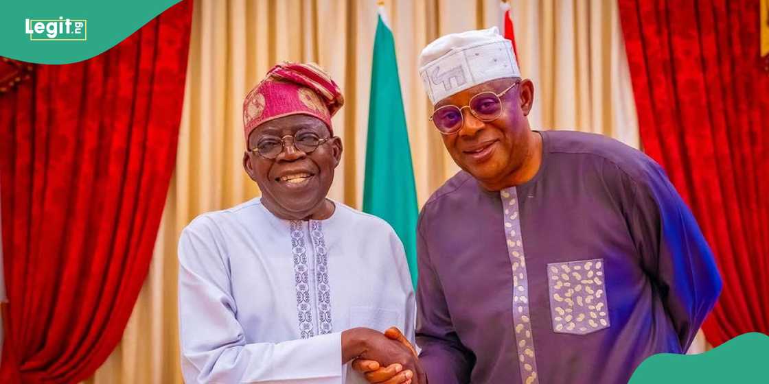 Faleke, Tinubu Faleke, Tinubu