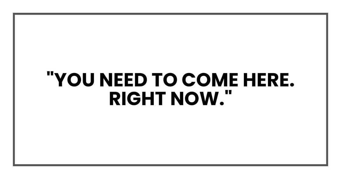 "you need to come here. RIGHT NOW." "you need to come here. RIGHT NOW."