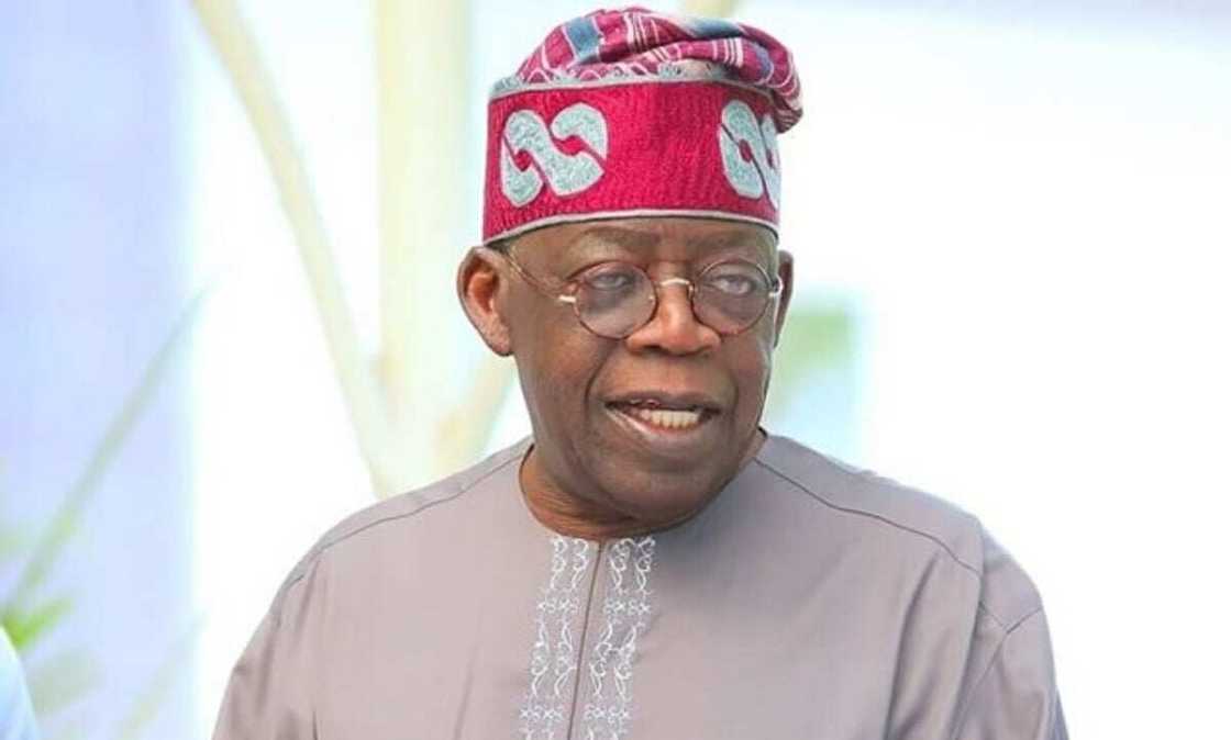 2023: Miyetti Allah reveals those creating problem for Tinubu’s presidential ambition