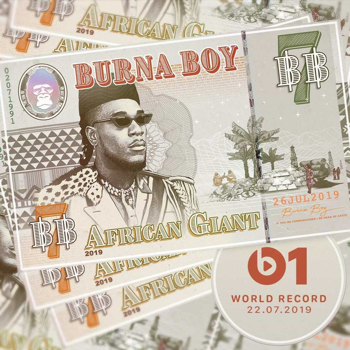 Burna Boy - Collateral Damage Burna Boy - Collateral Damage