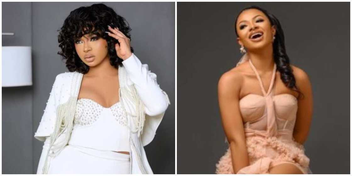 Photos of Liquorose. Photos of Liquorose.