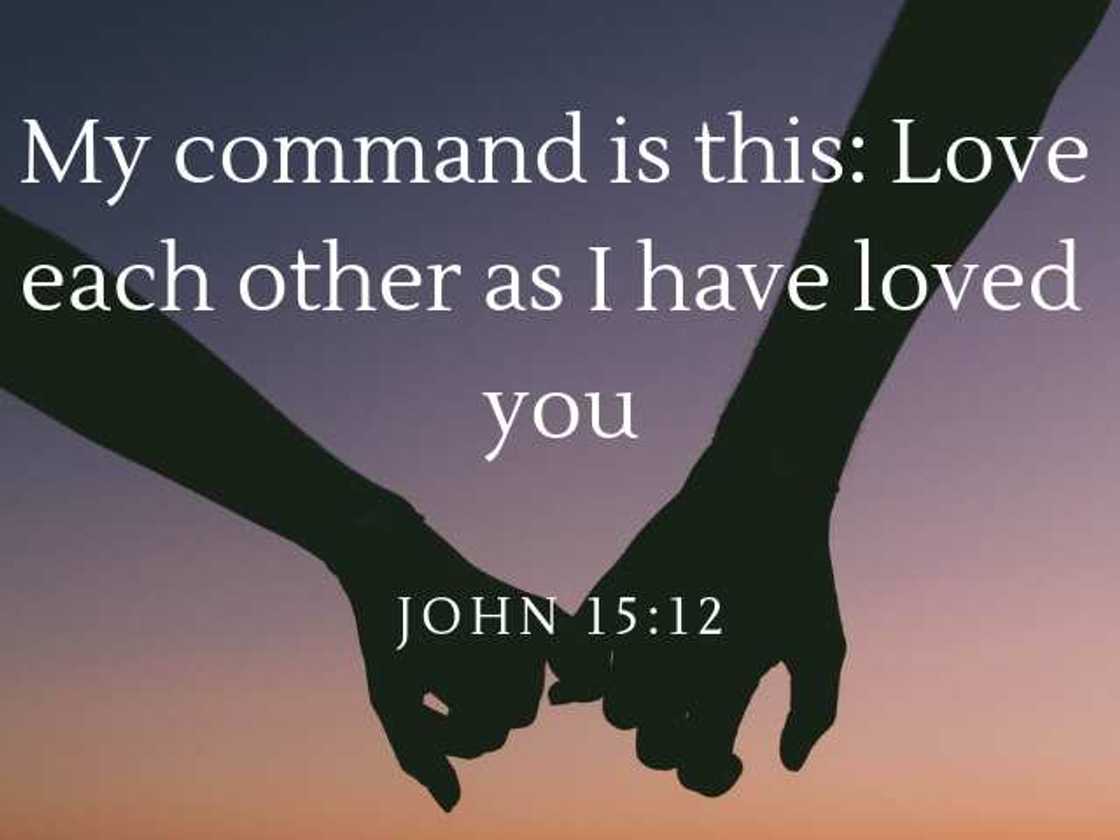 Bible verses about love Bible verses about love