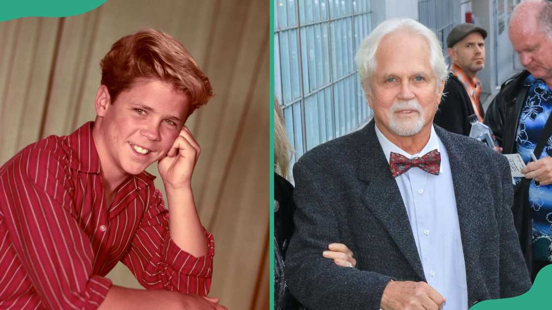 Tony Dow in a studio backdrop with draped curtains and, at the 86th Annual Hollywood Christmas Parade