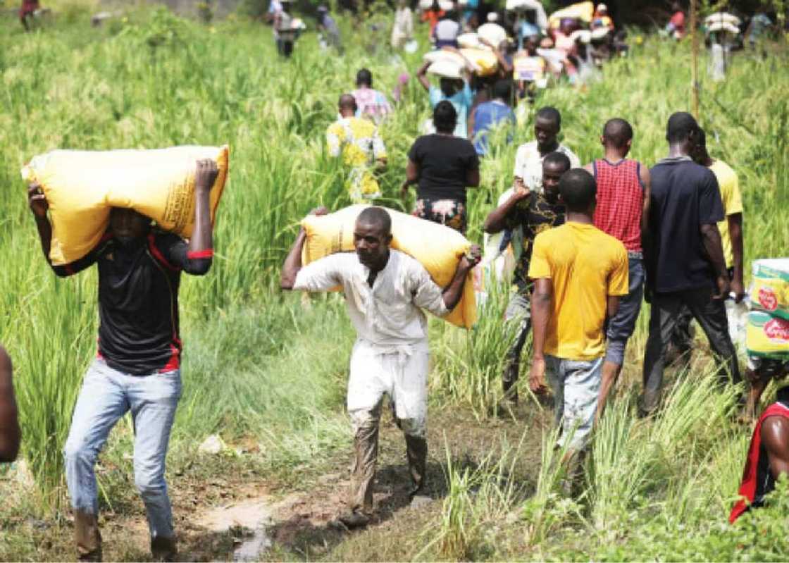 Yanzu-yanzu: Matasa sun ɓalle daƙin ajiyar kayan abinci a Niger, sun fara warwaso Yanzu-yanzu: Matasa sun ɓalle daƙin ajiyar kayan abinci a Niger, sun fara warwaso