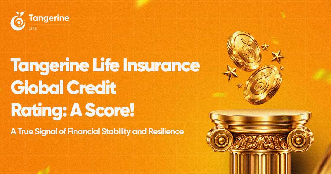 Tangerine Life Insurance Global Credit Rating: A Score! Tangerine Life Insurance Global Credit Rating: A Score!