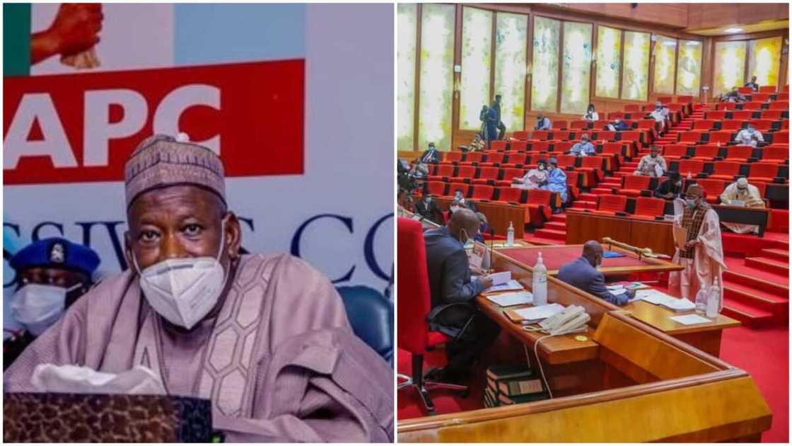 Herdsmen crisis: Senate reacts as northern governor asked FG to ban cattle movement from north to south Herdsmen crisis: Senate reacts as northern governor asked FG to ban cattle movement from north to south