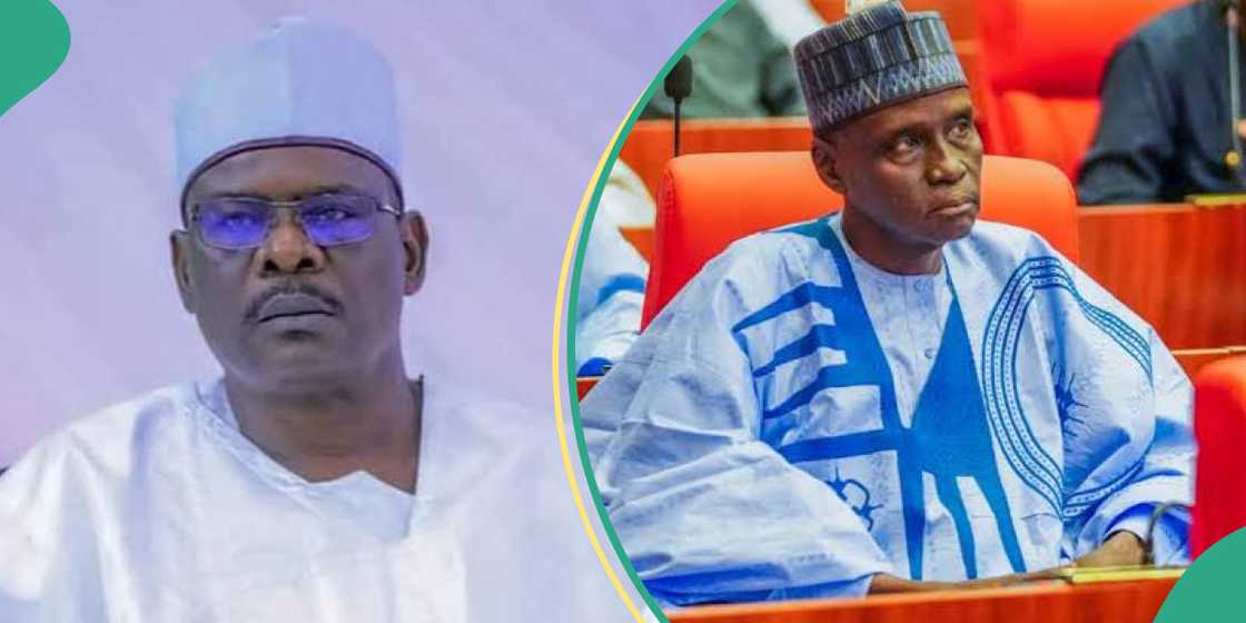 Tahir Monguno replaces Ali Ndume as Senate Chief Whip Tahir Monguno replaces Ali Ndume as Senate Chief Whip