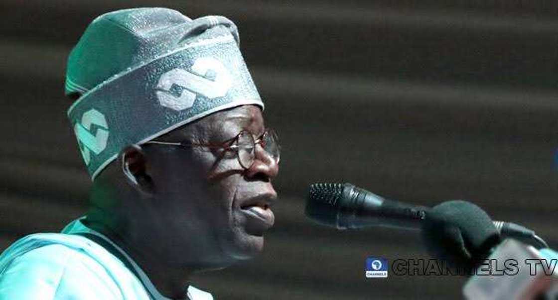 Bola Tinubu