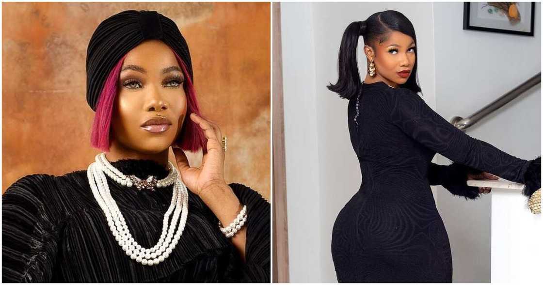 Tacha, BBNaija Tacha, BBNaija