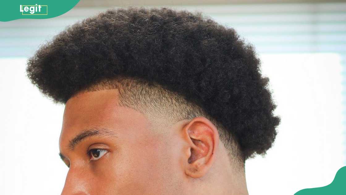 Dapper fade Dapper fade