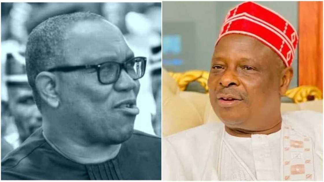 Peter Obi/Rabiu Kwankwaso/Labour Party/NNPP/2023 election Peter Obi/Rabiu Kwankwaso/Labour Party/NNPP/2023 election