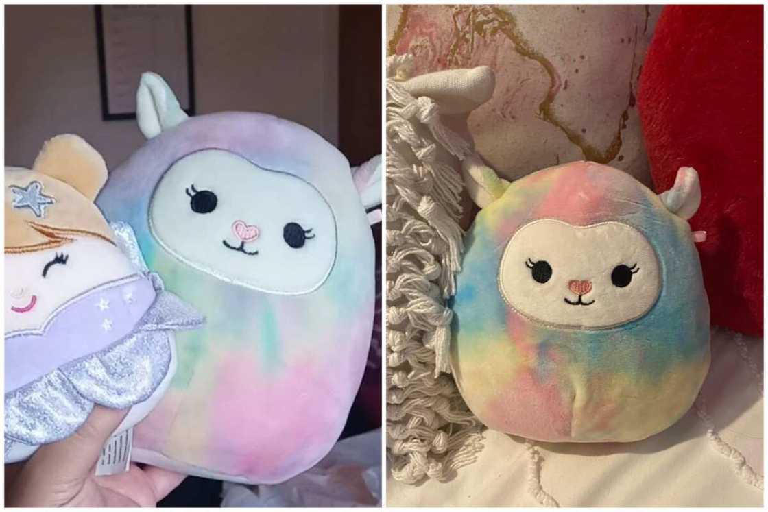 Rare Squishmallows