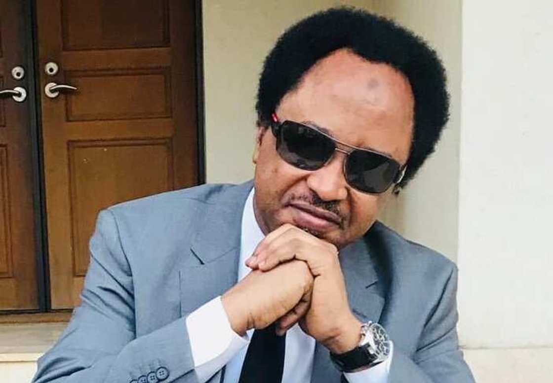 Shehu Sani Shehu Sani