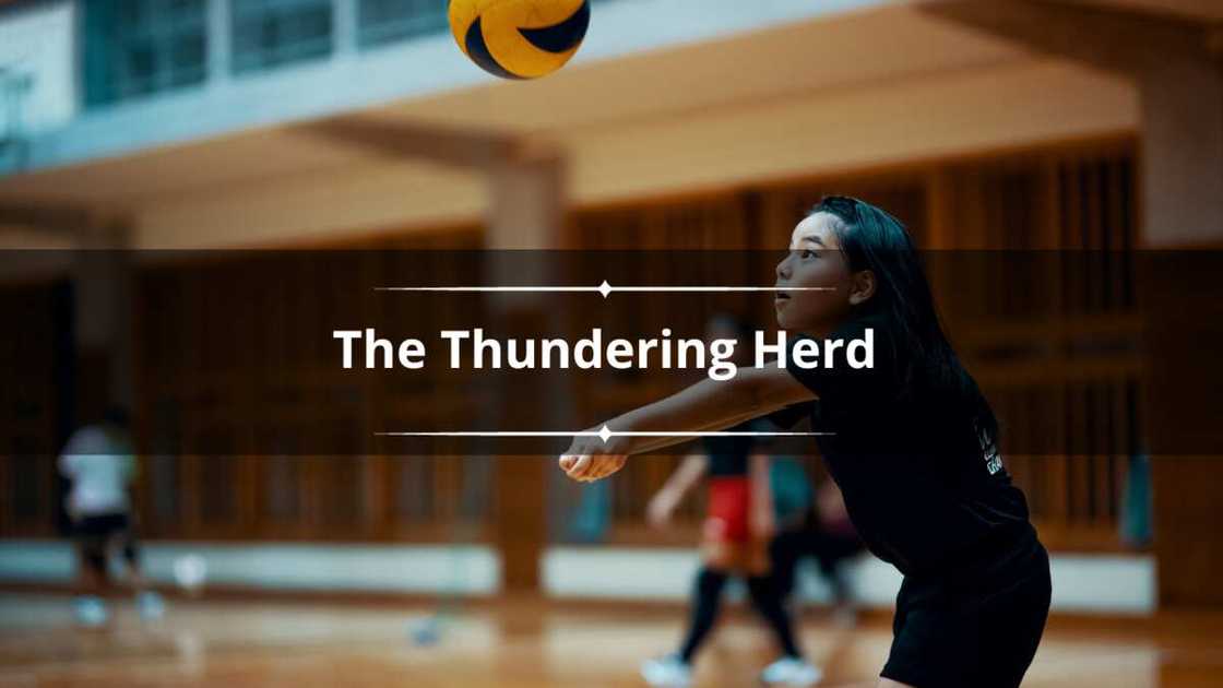 clever volleyball team names