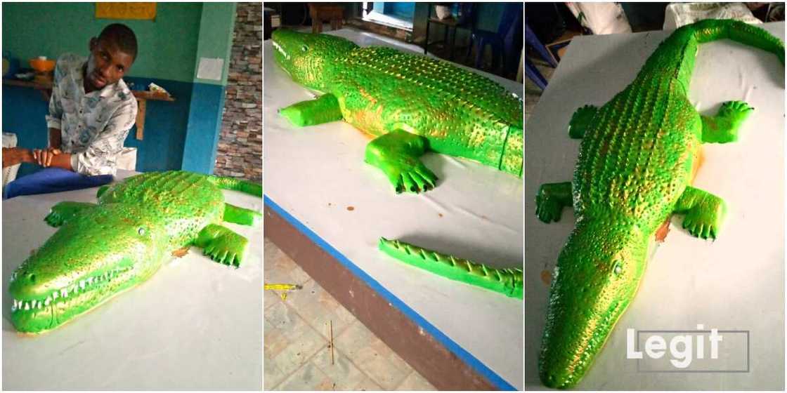 I Just Wanted to Display My Creativity: Talented Nigerian Baker Who Used Flour in Creating Crocodile Speaks