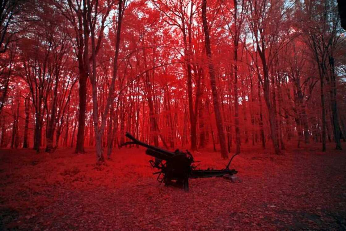 Ku kashe kwalkwatar Ido: Hotunan filin dagar da aka gwabza yakin duniya na daya Ku kashe kwalkwatar Ido: Hotunan filin dagar da aka gwabza yakin duniya na daya