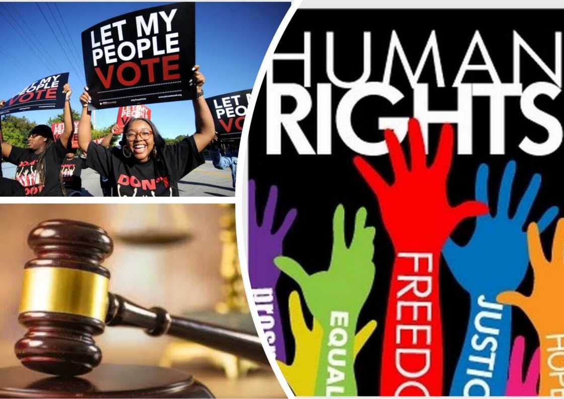 Constitutional Democracy values Constitutional Democracy values