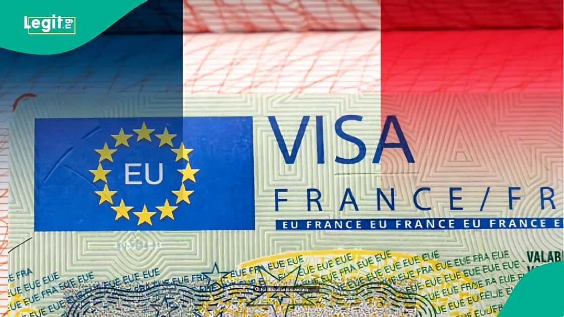France announces Schengen visa fee and 4 other visa charges, cuts fees for children aged 6 to 12